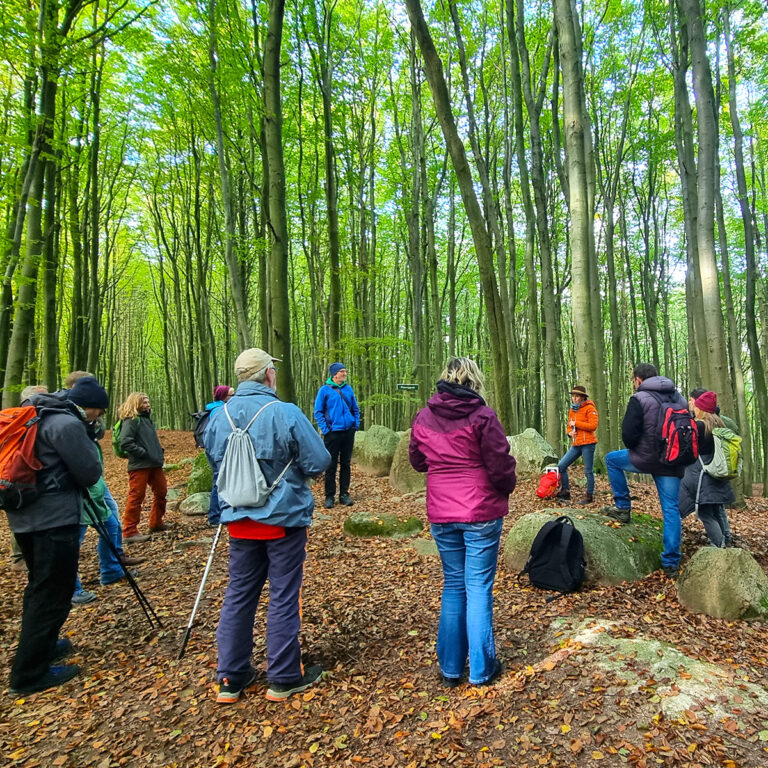 Geführte Wanderung durch den Nationalpark