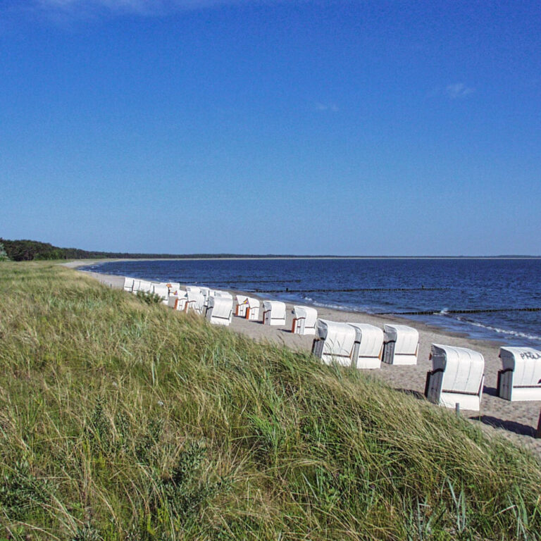 Strand bei Glowe im Sommer
