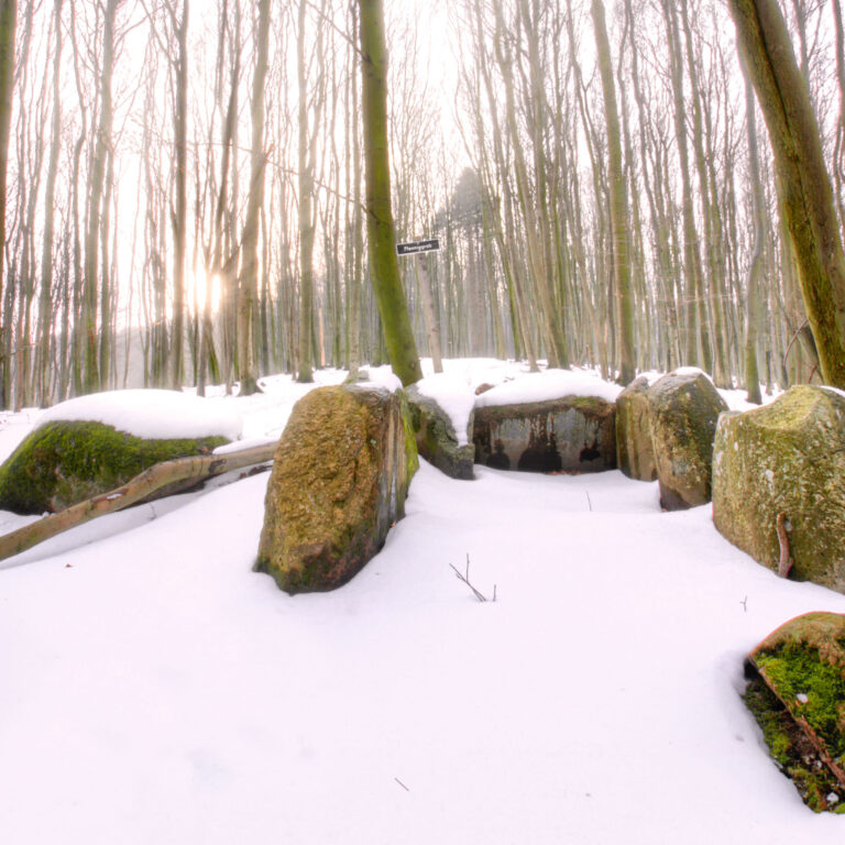 Das Pfenniggrab im Nationalpark Jasmund im Winter